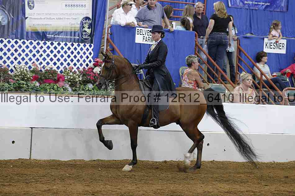 Proof Number 12r12_6410