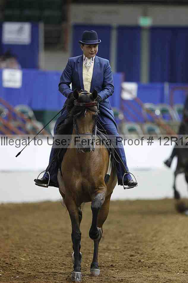 Proof Number 12r12_6415