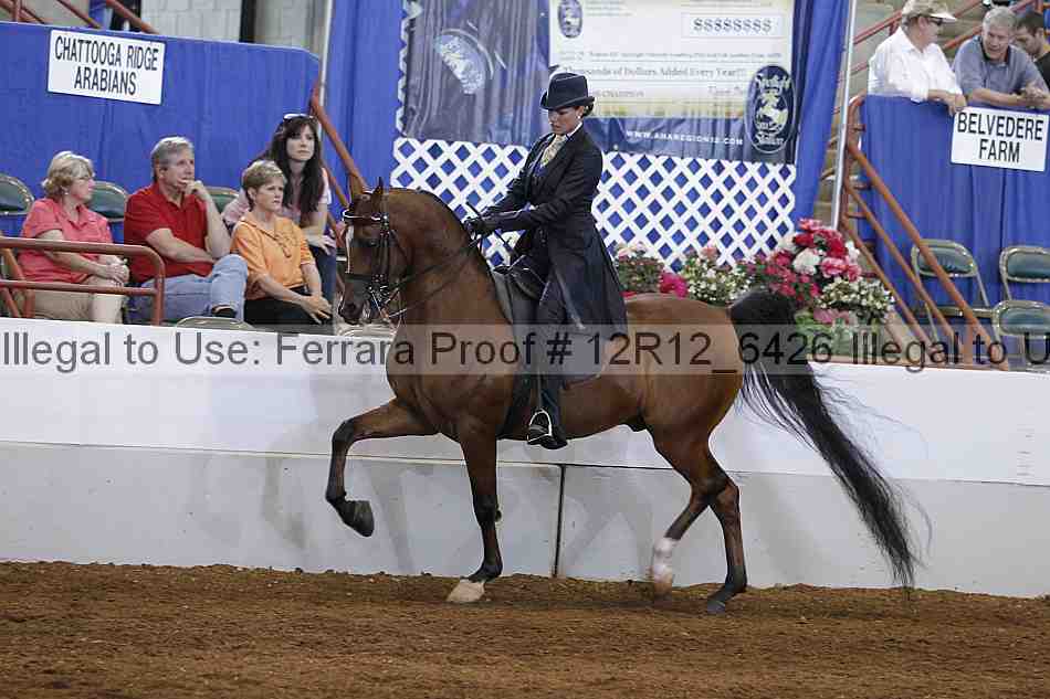Proof Number 12r12_6426