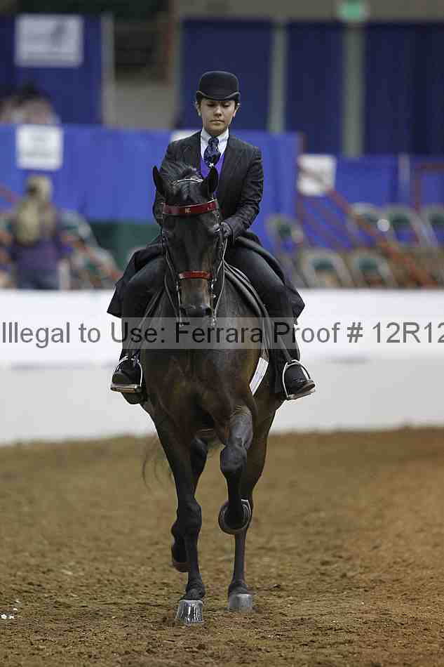 Proof Number 12r12_6427
