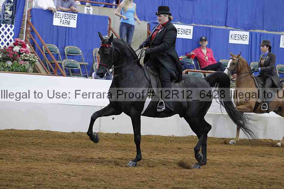 Proof Number 12r12_6428