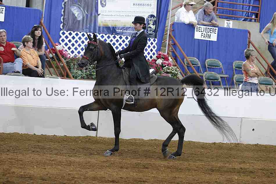 Proof Number 12r12_6432