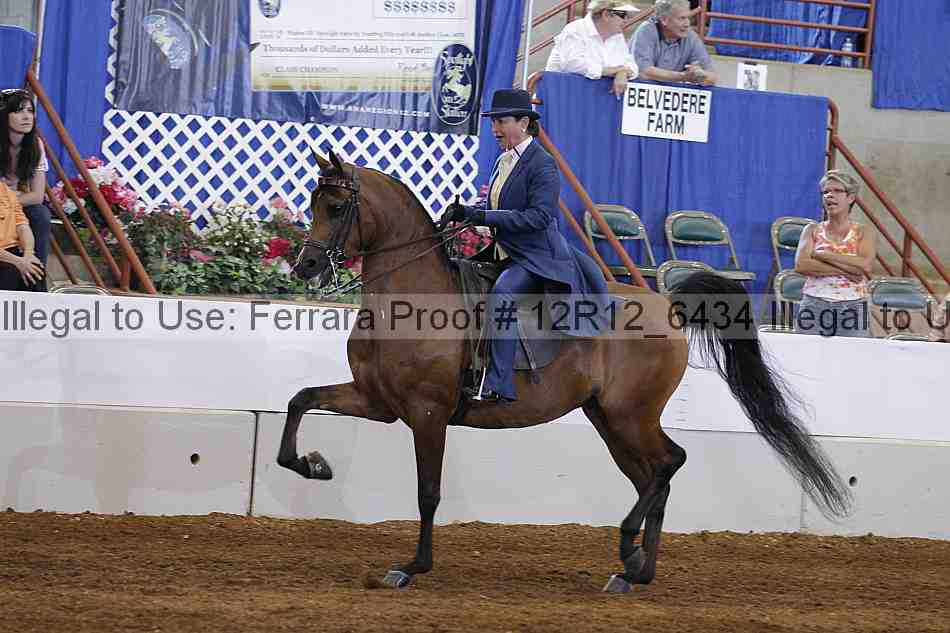 Proof Number 12r12_6434
