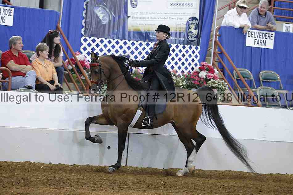 Proof Number 12r12_6438