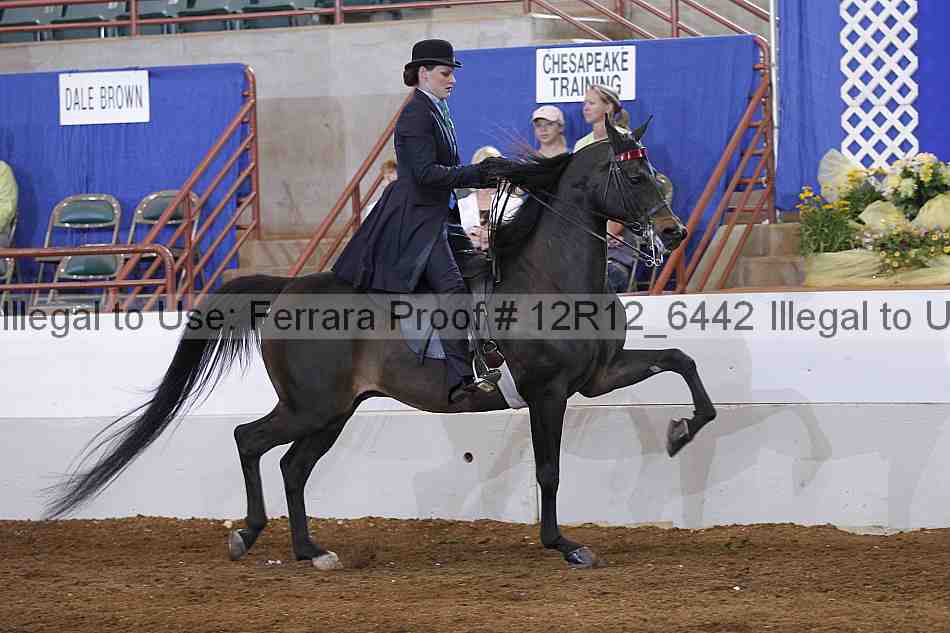 Proof Number 12r12_6442