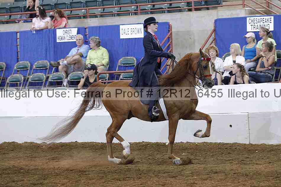 Proof Number 12r12_6455