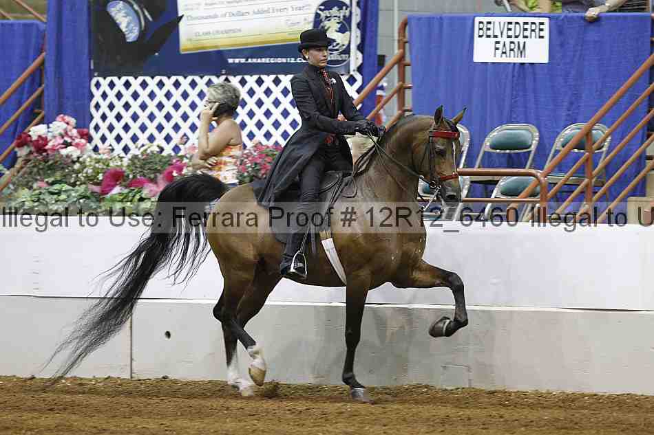 Proof Number 12r12_6460