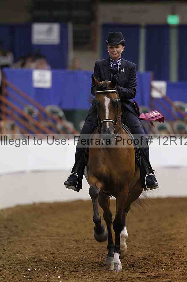 Proof Number 12r12_6470