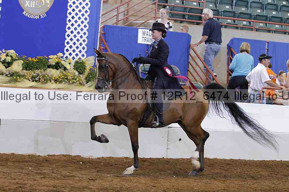 Proof Number 12r12_6474