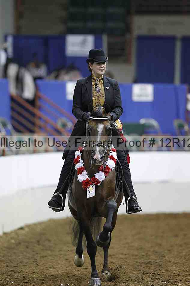 Proof Number 12r12_6475