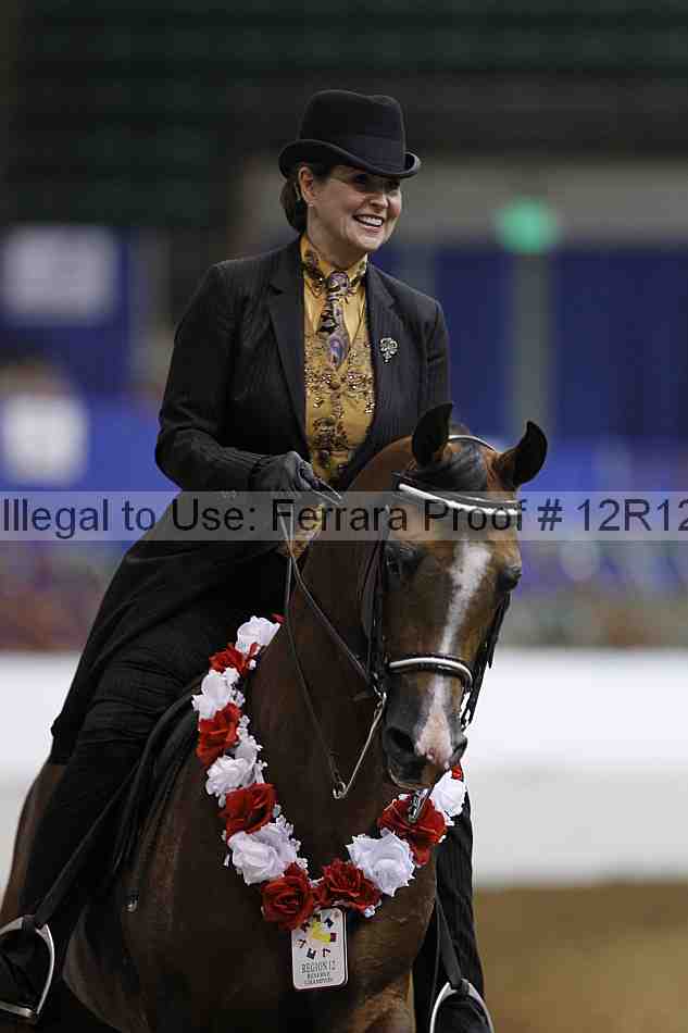 Proof Number 12r12_6477