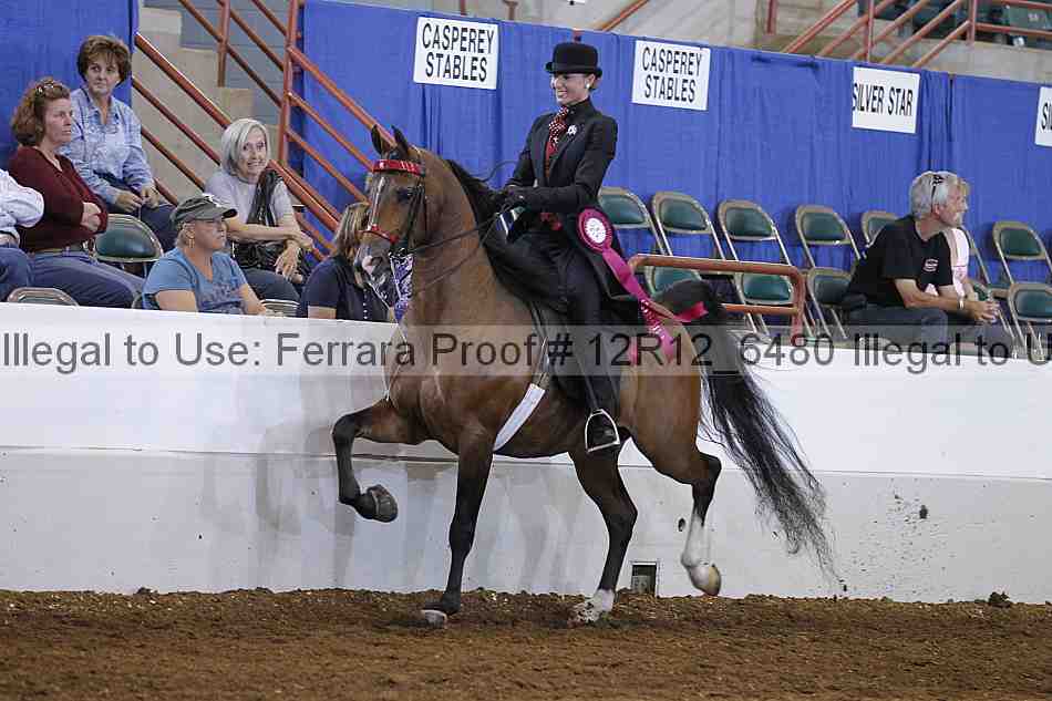 Proof Number 12r12_6480