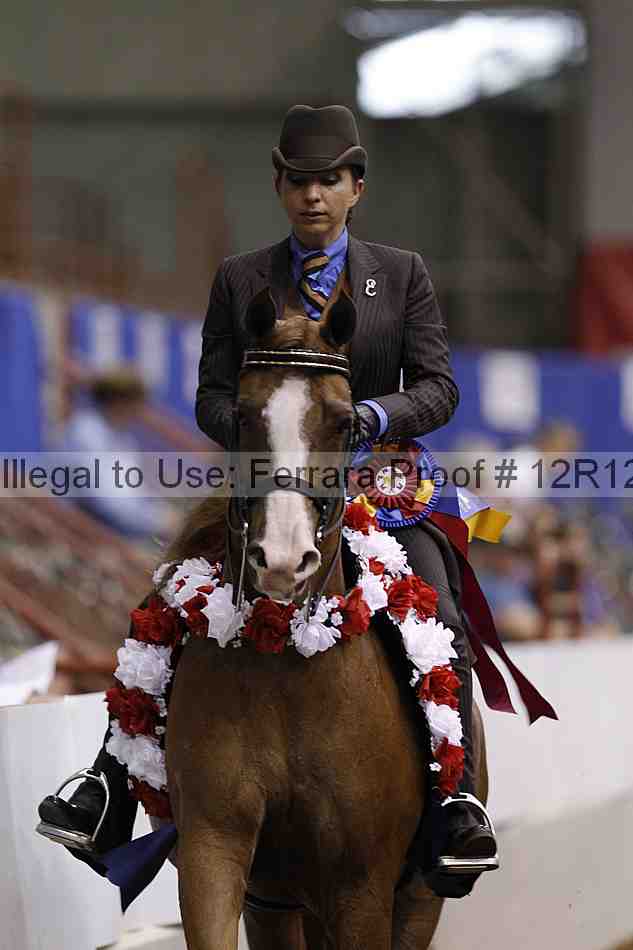 Proof Number 12r12_6483