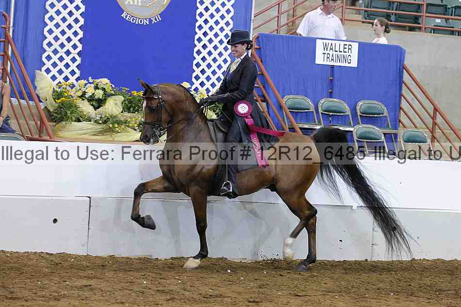 Proof Number 12r12_6485