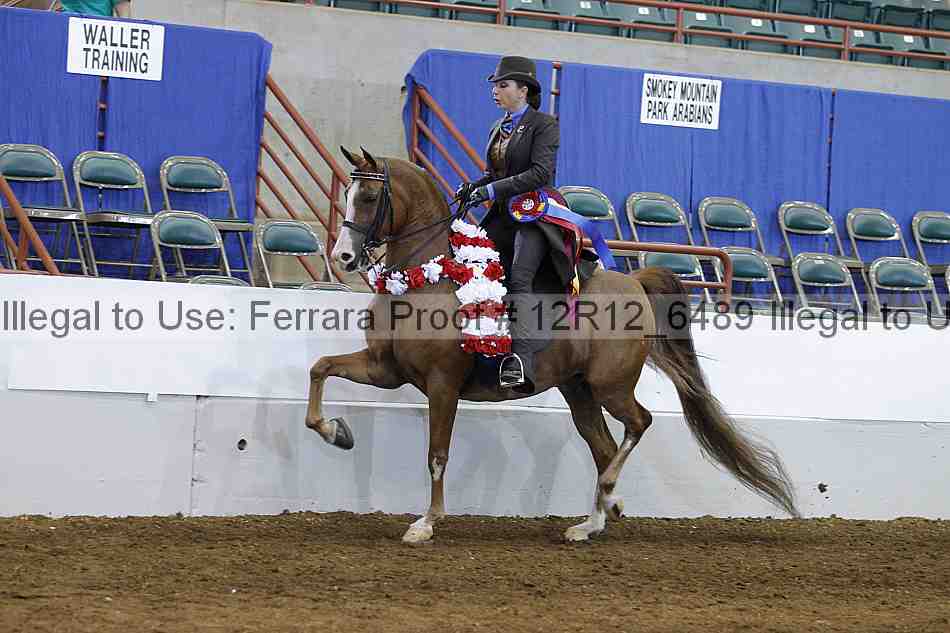 Proof Number 12r12_6489