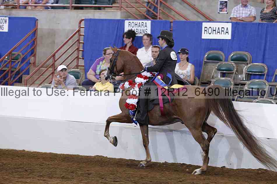 Proof Number 12r12_6490