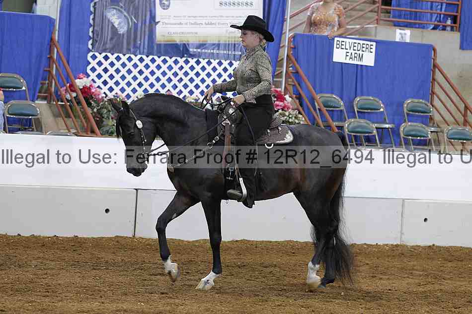 Proof Number 12r12_6494