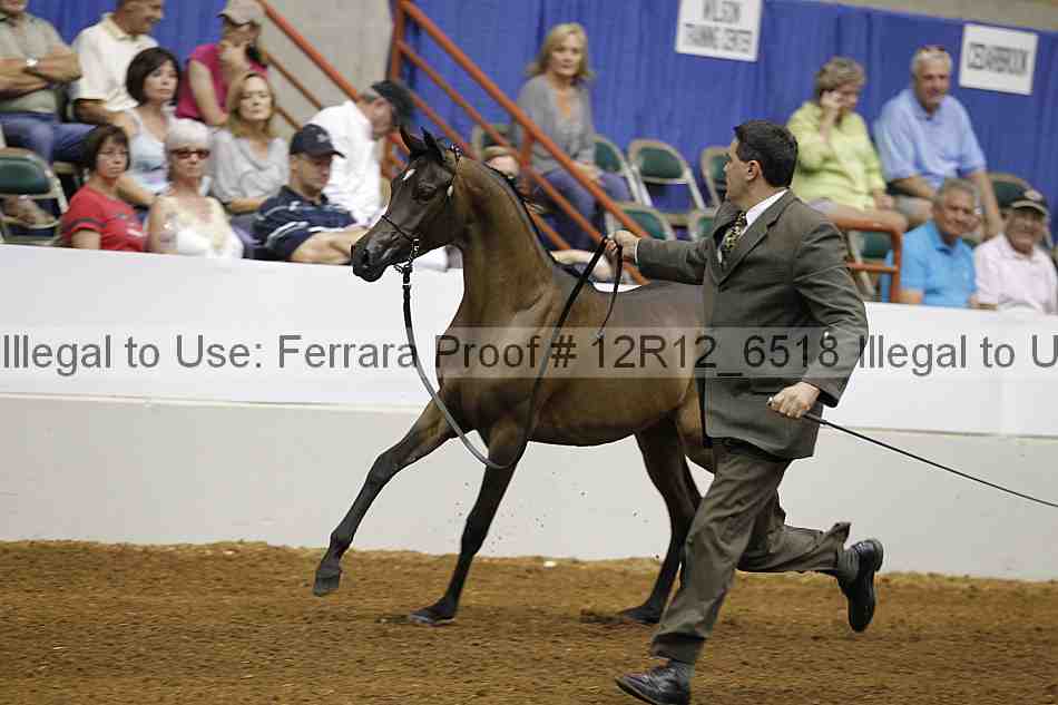 Proof Number 12r12_6518