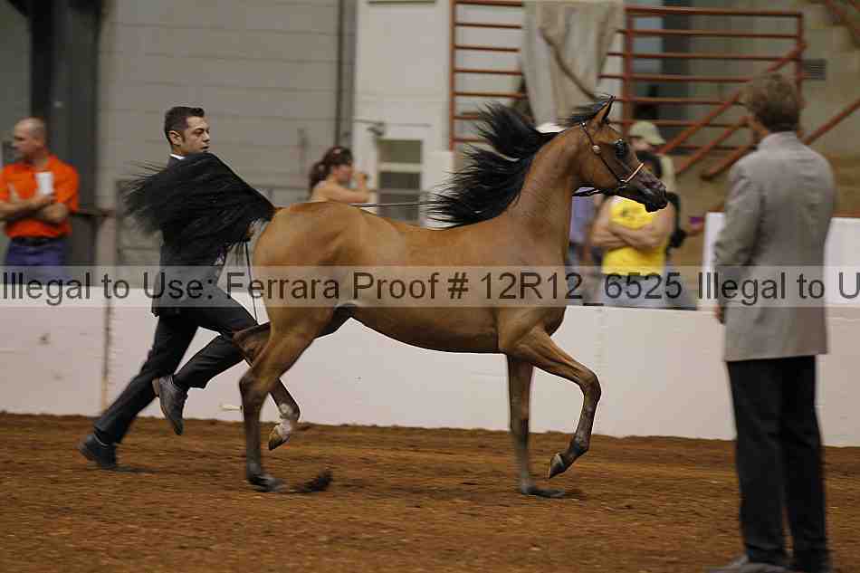 Proof Number 12r12_6525