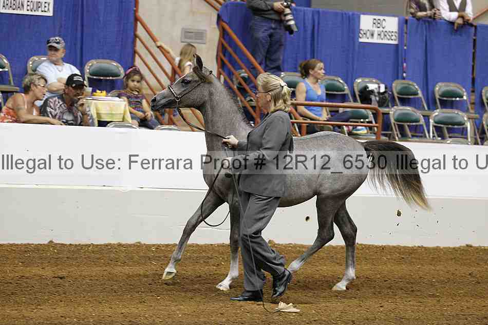 Proof Number 12r12_6530