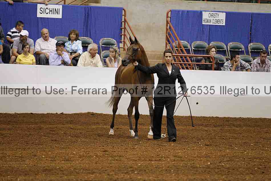 Proof Number 12r12_6535