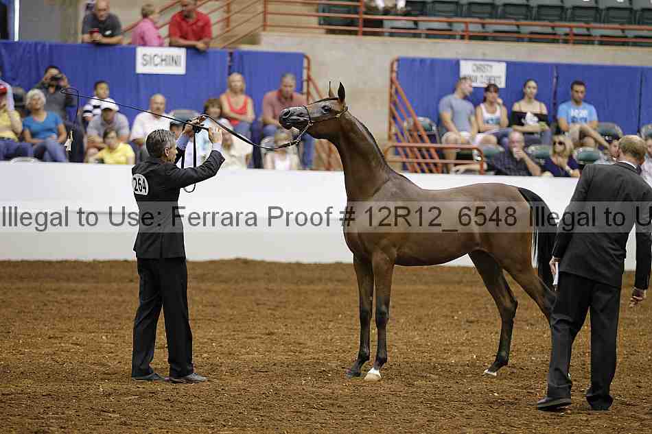 Proof Number 12r12_6548