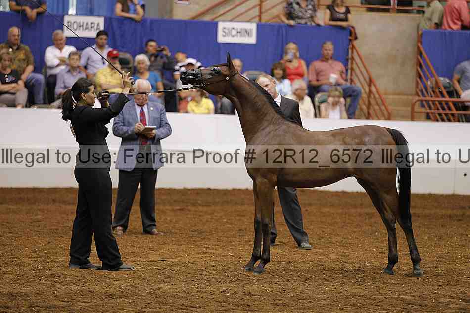 Proof Number 12r12_6572