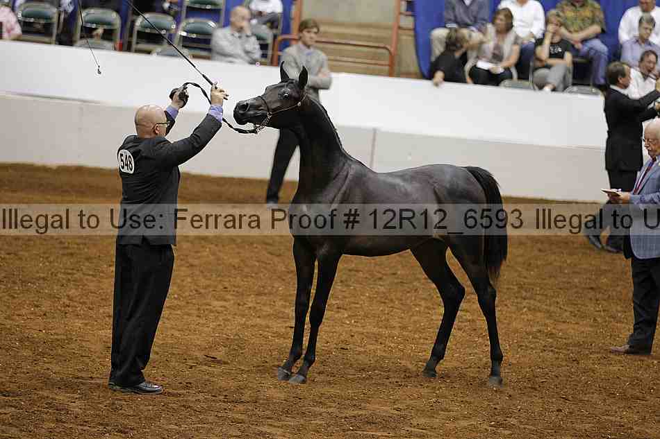 Proof Number 12r12_6593