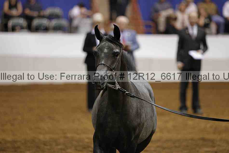 Proof Number 12r12_6617