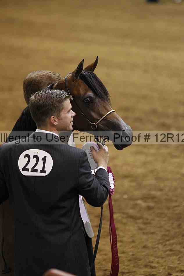 Proof Number 12r12_6619