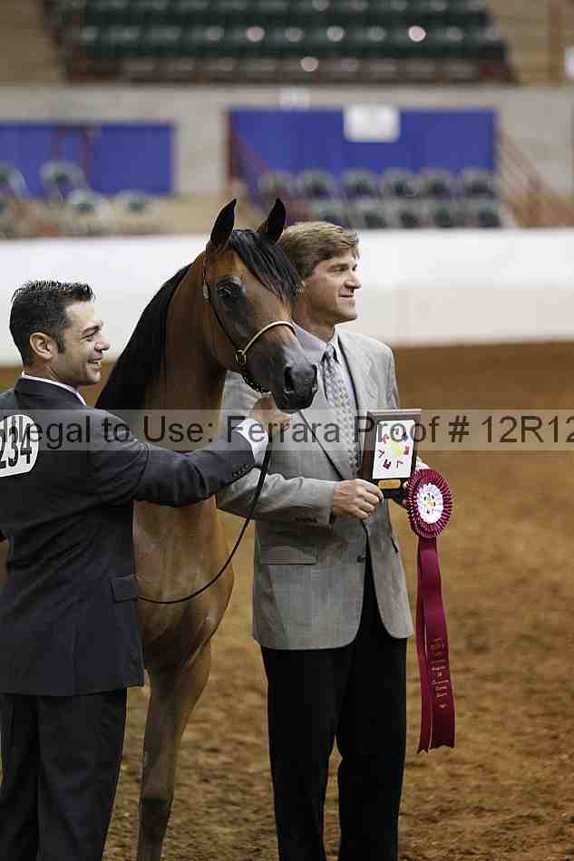 Proof Number 12r12_6621