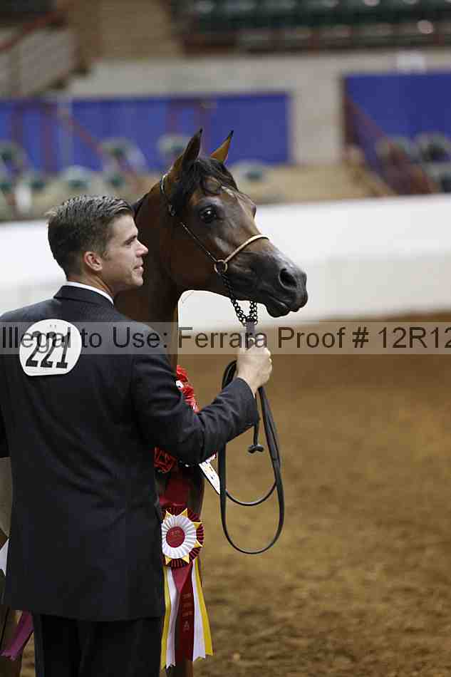 Proof Number 12r12_6630
