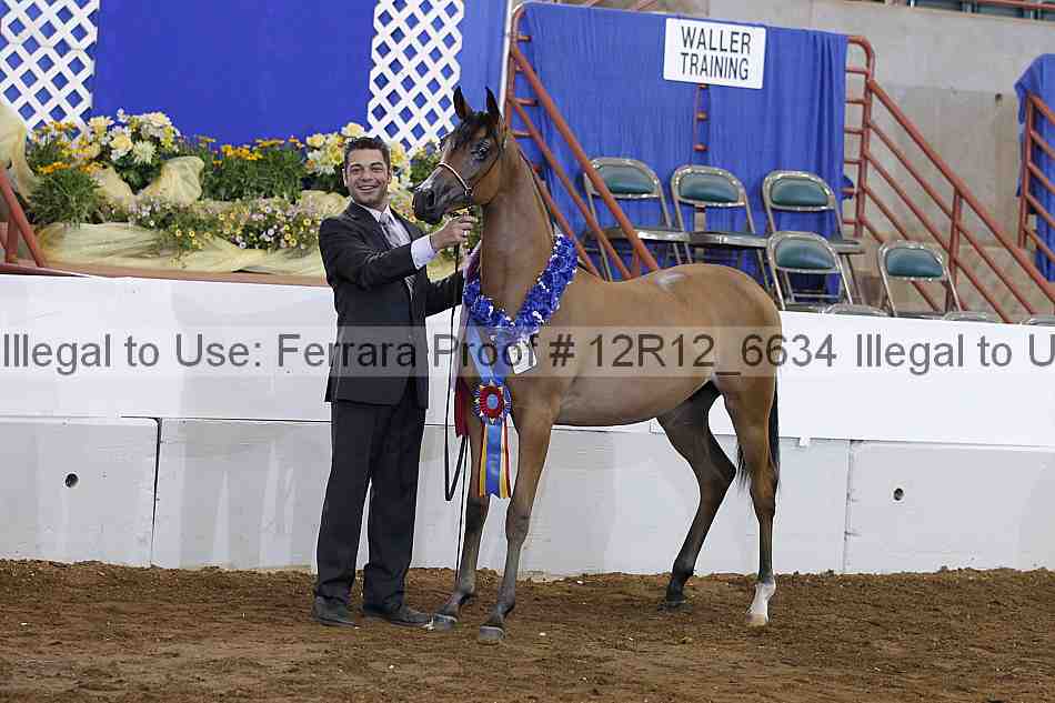 Proof Number 12r12_6634