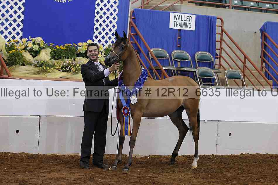 Proof Number 12r12_6635