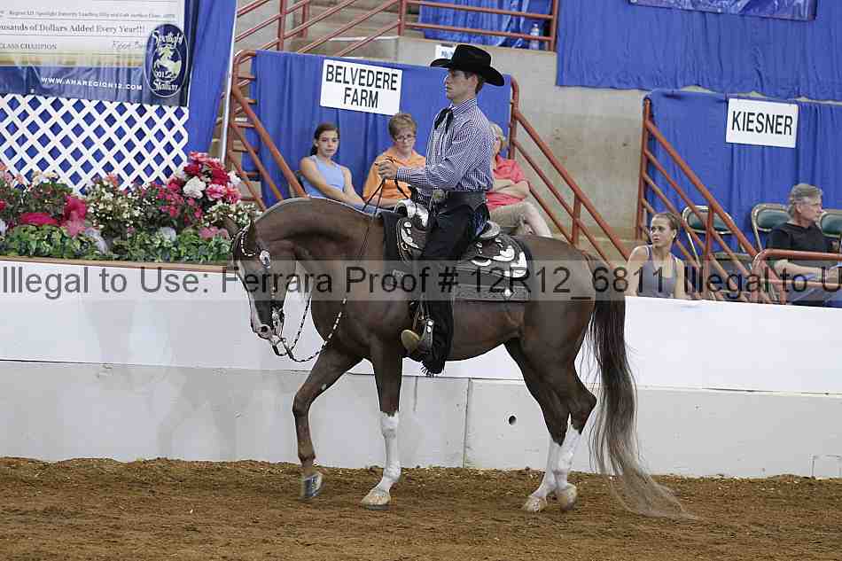 Proof Number 12r12_6811