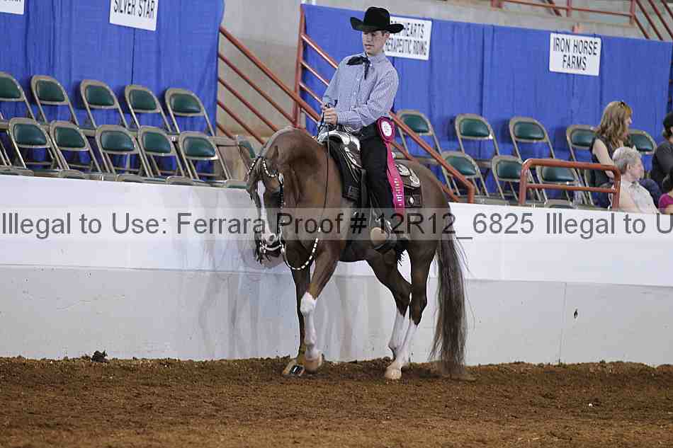 Proof Number 12r12_6825