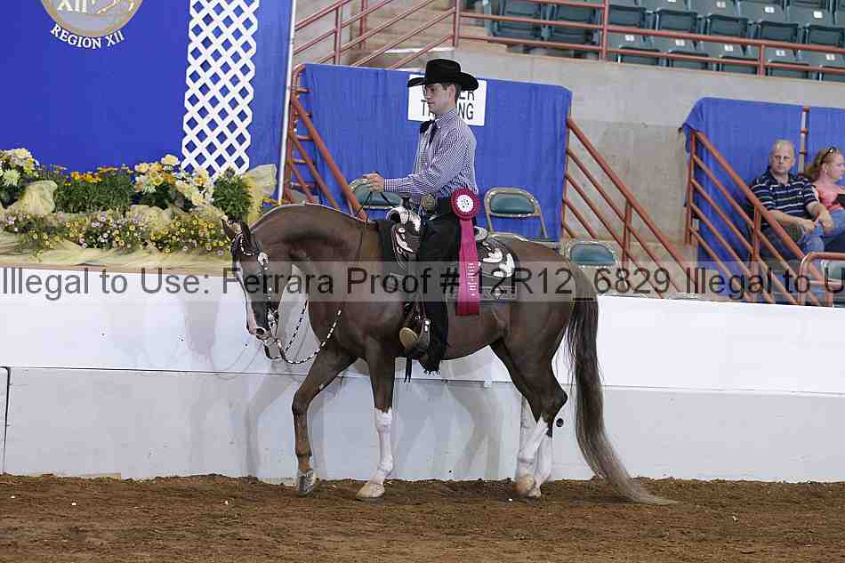 Proof Number 12r12_6829