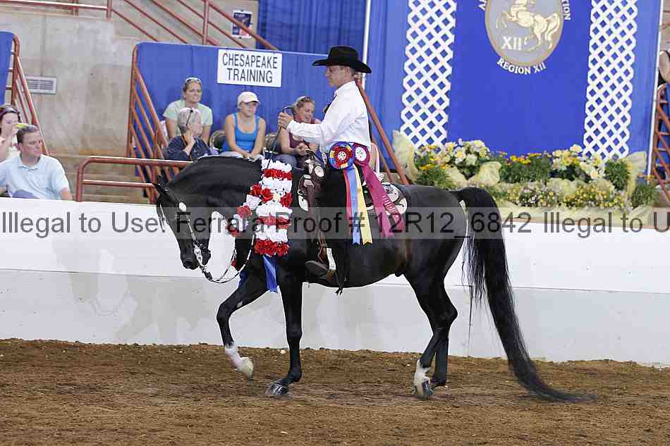Proof Number 12r12_6842