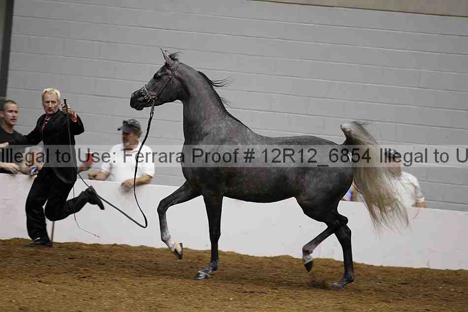 Proof Number 12r12_6854