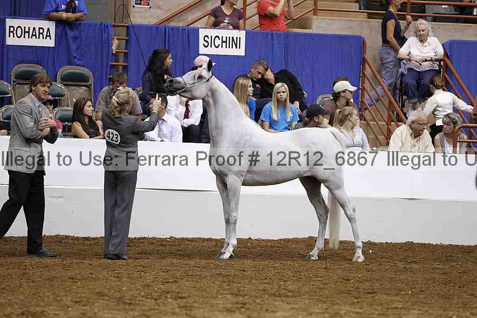 Proof Number 12r12_6867