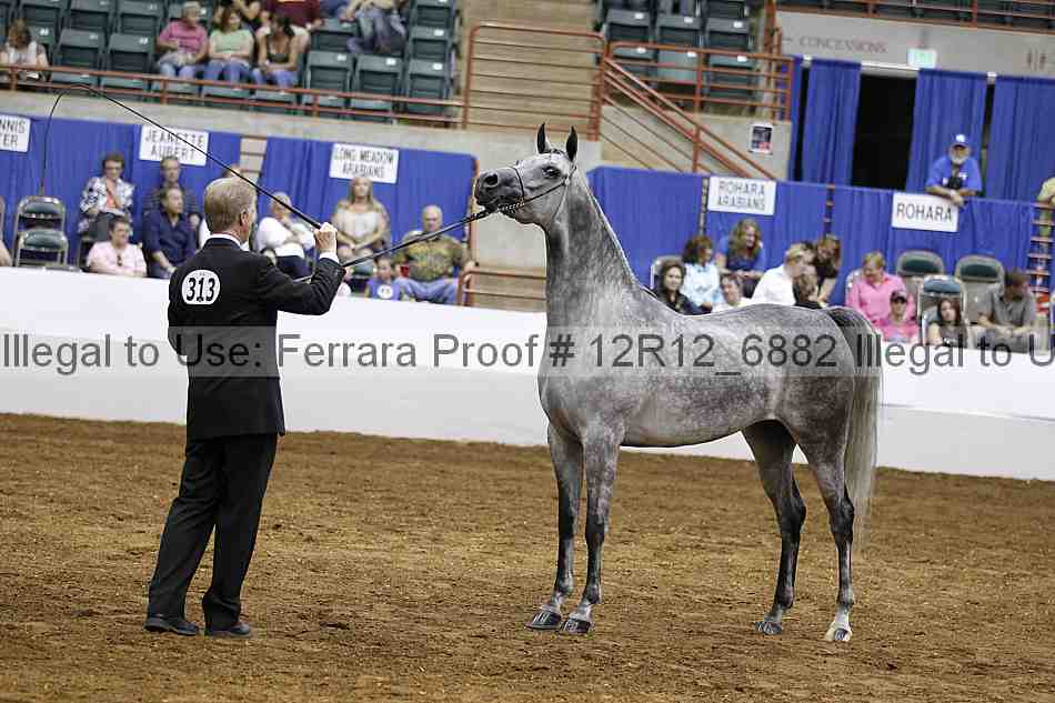 Proof Number 12r12_6882
