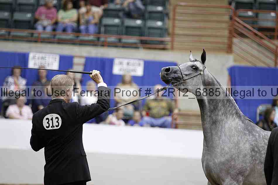 Proof Number 12r12_6885