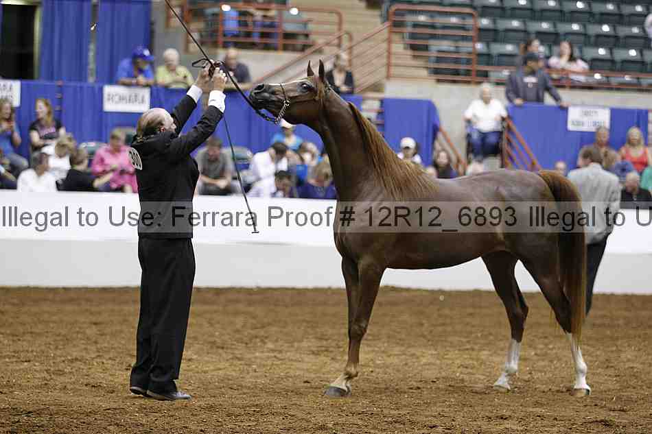 Proof Number 12r12_6893