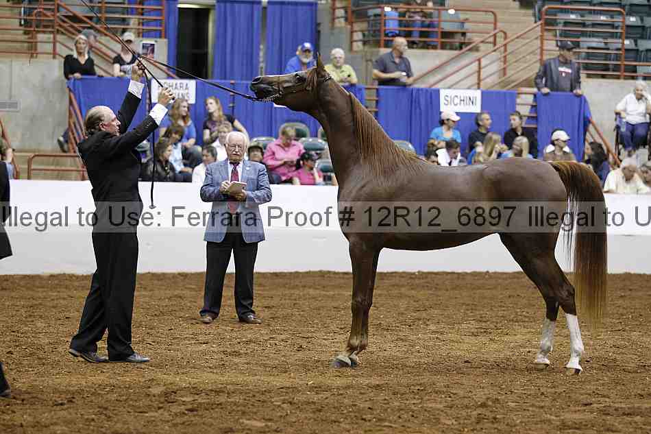 Proof Number 12r12_6897