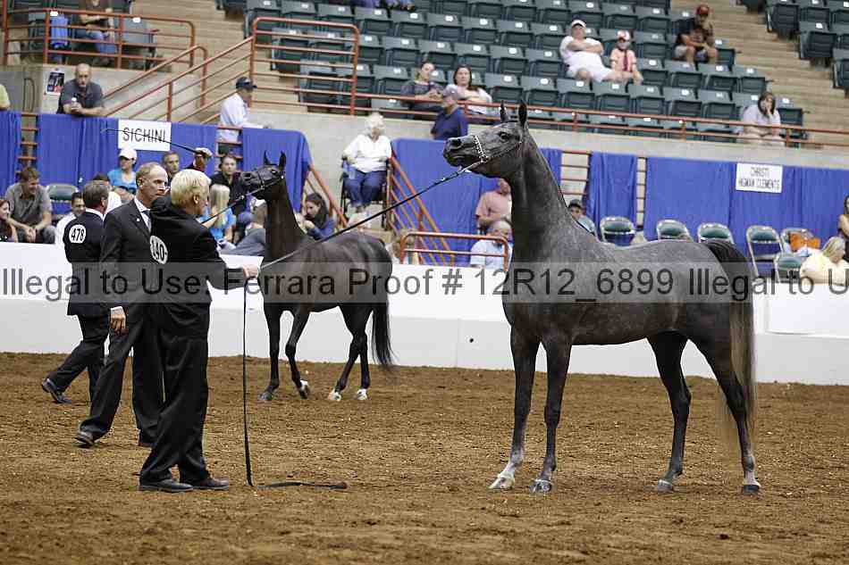 Proof Number 12r12_6899