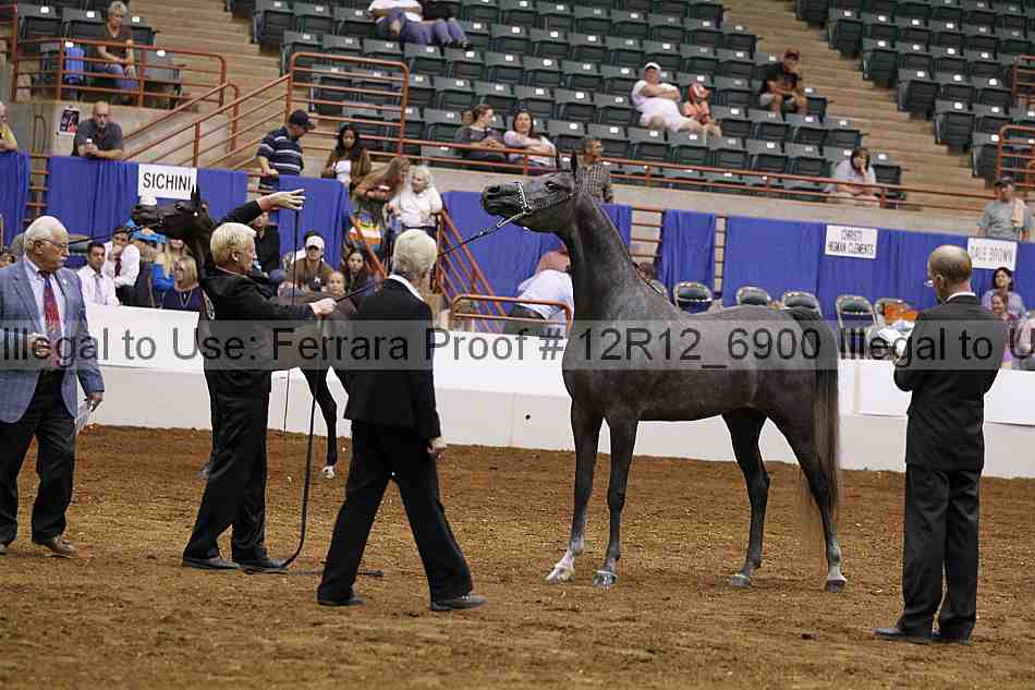 Proof Number 12r12_6900