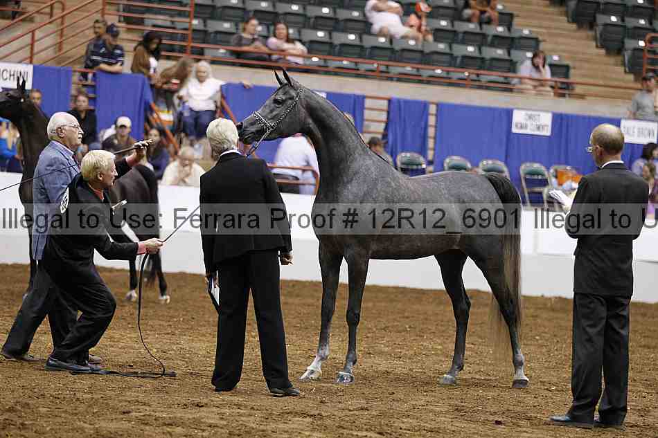 Proof Number 12r12_6901
