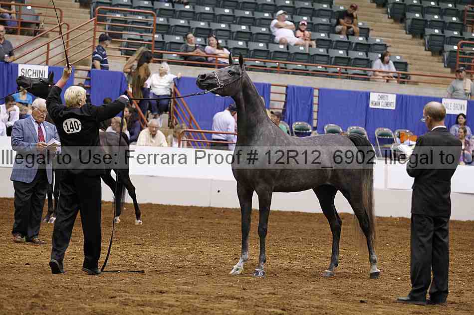 Proof Number 12r12_6902
