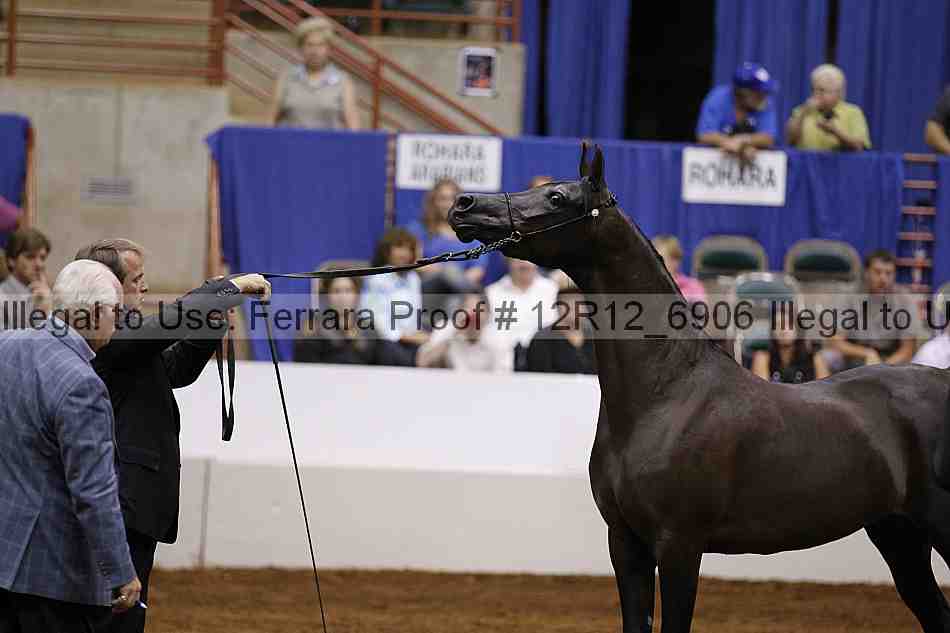 Proof Number 12r12_6906