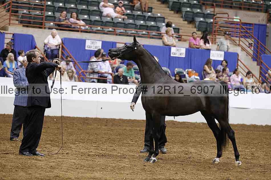 Proof Number 12r12_6907